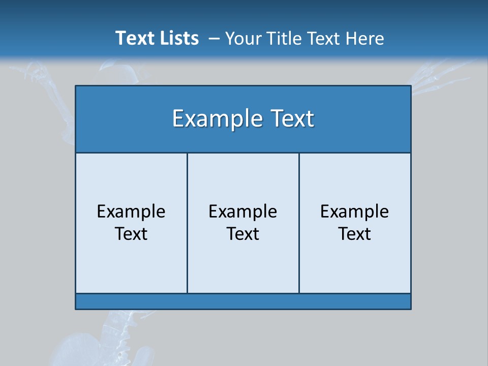 Torso Health Biology PowerPoint Template