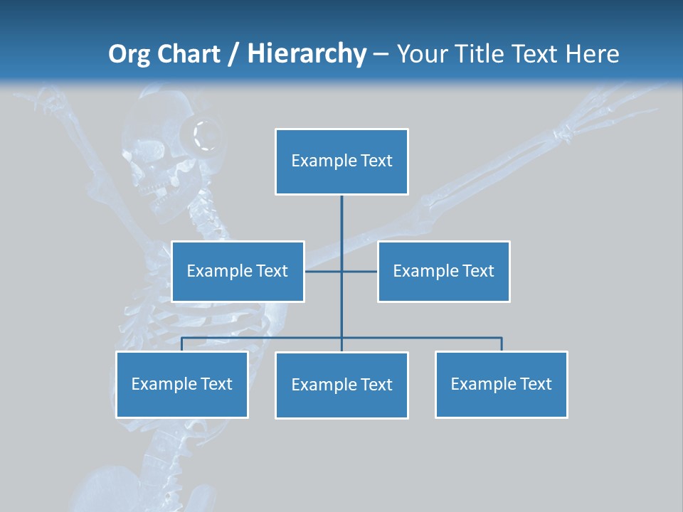 Torso Health Biology PowerPoint Template