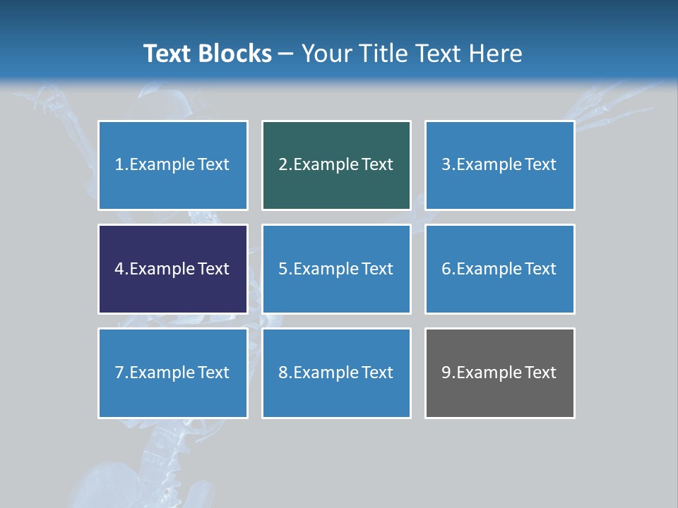 Torso Health Biology PowerPoint Template