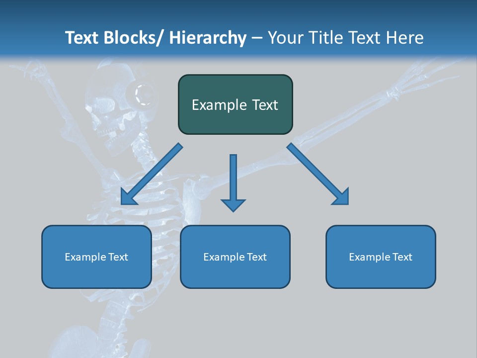 Torso Health Biology PowerPoint Template