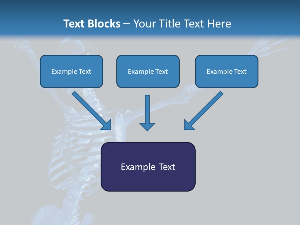 Torso Health Biology PowerPoint Template