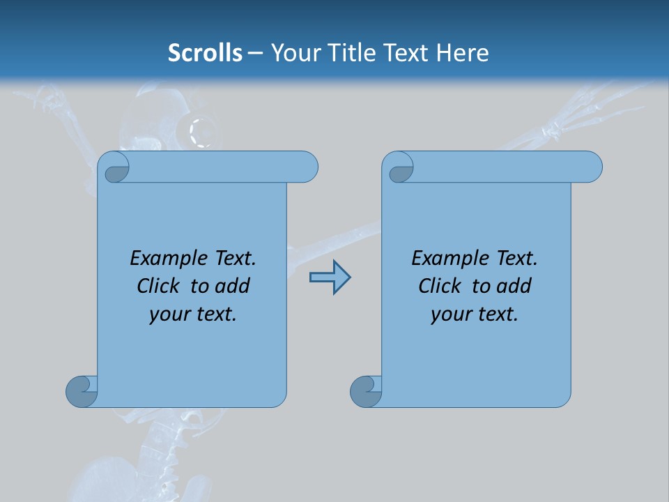 Torso Health Biology PowerPoint Template