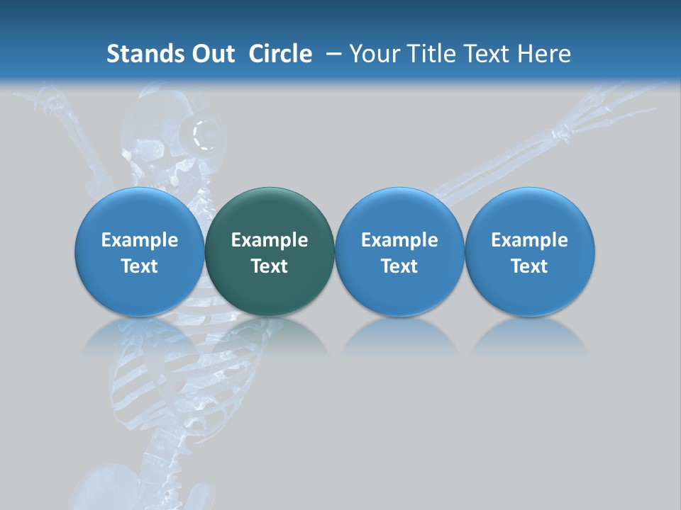 Torso Health Biology PowerPoint Template