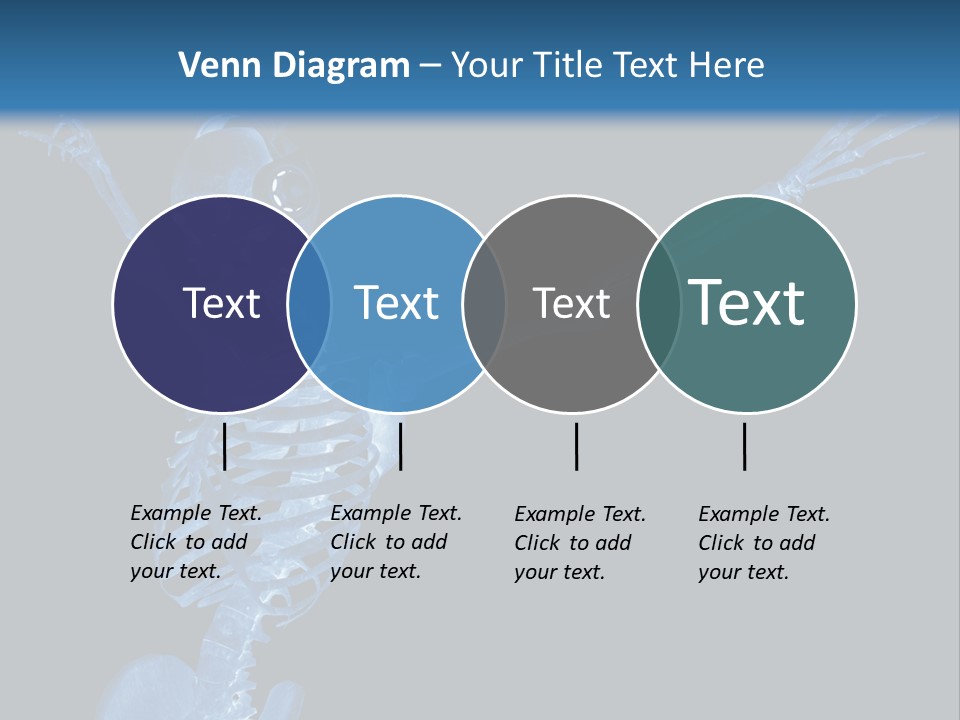 Torso Health Biology PowerPoint Template