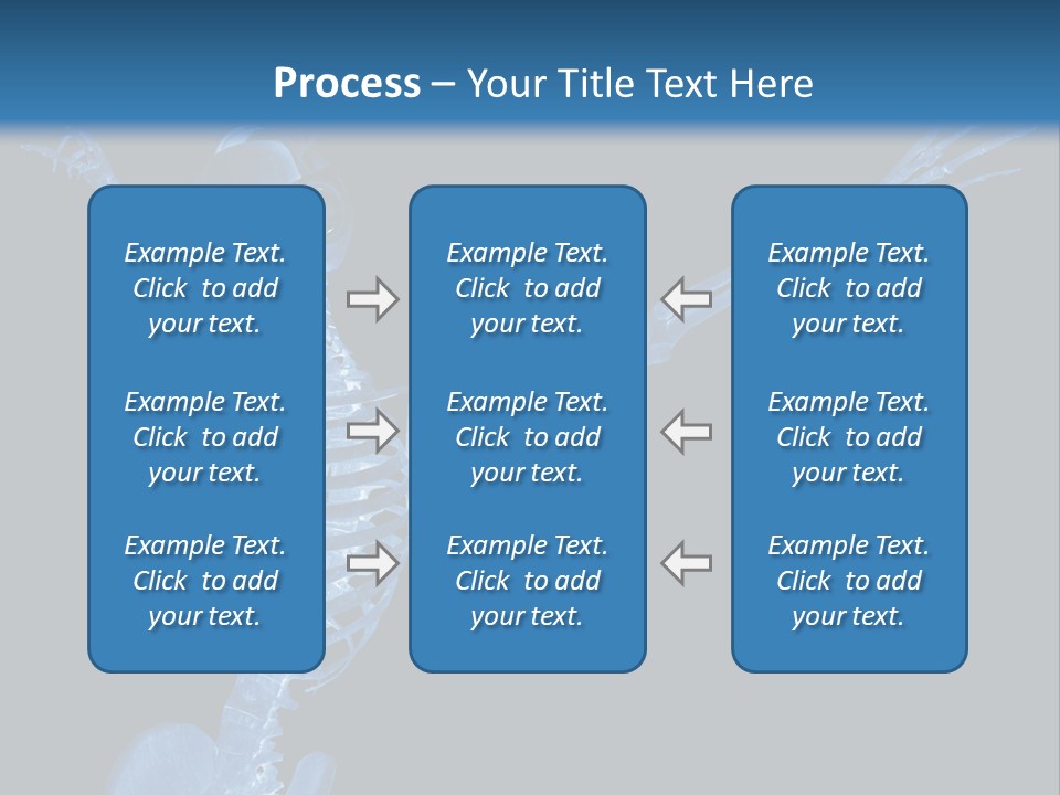 Torso Health Biology PowerPoint Template
