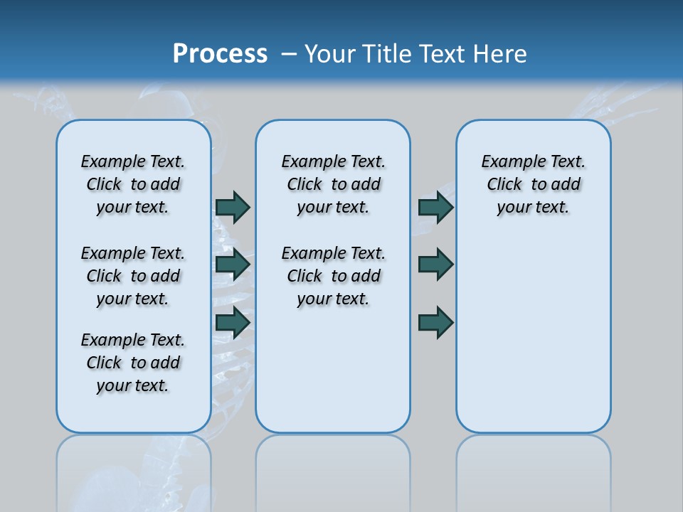 Torso Health Biology PowerPoint Template