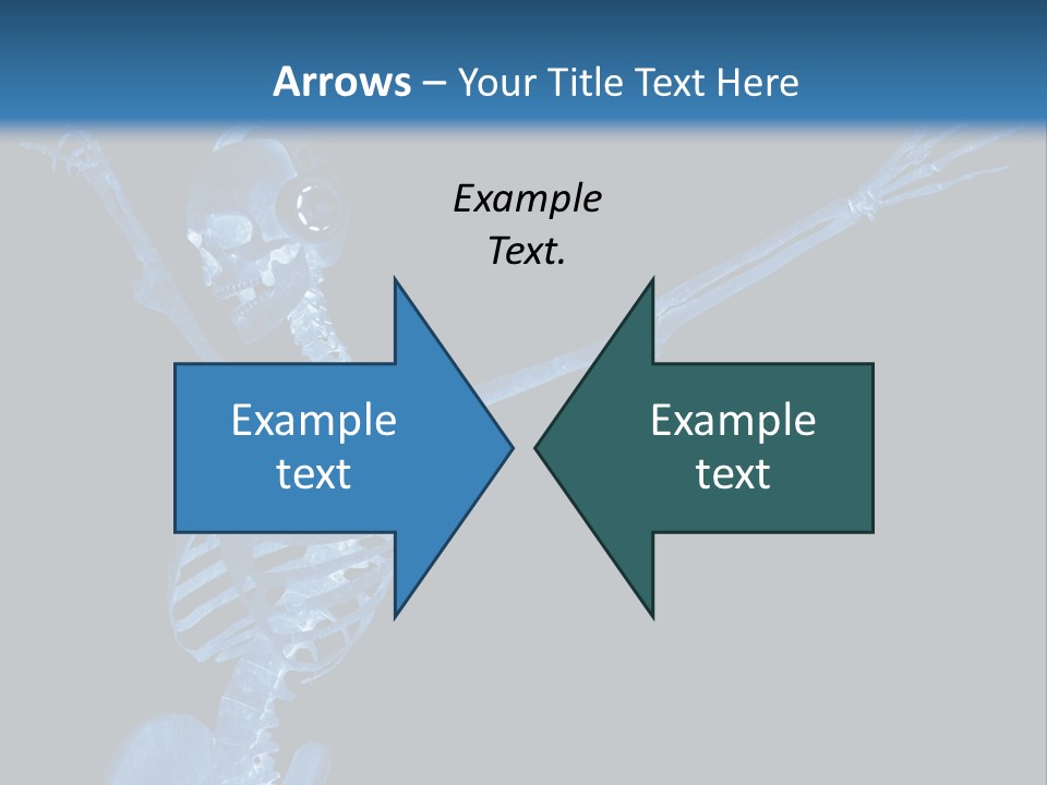 Torso Health Biology PowerPoint Template