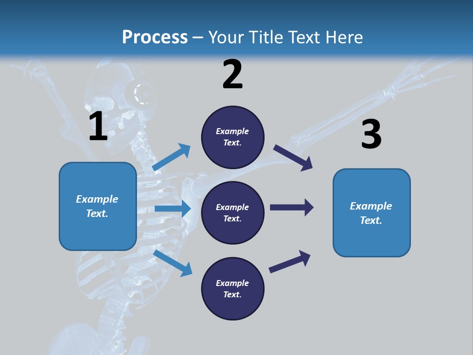 Torso Health Biology PowerPoint Template