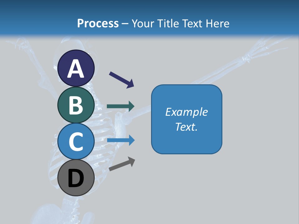 Torso Health Biology PowerPoint Template