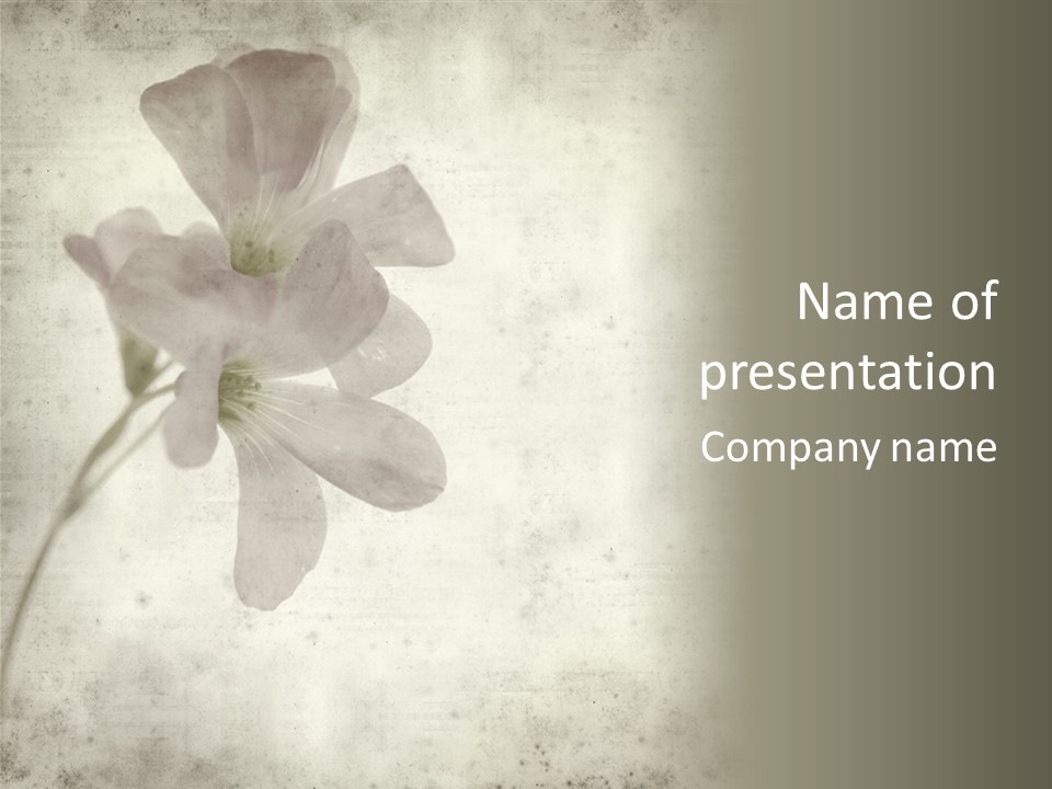Vintage Old Pink PowerPoint Template