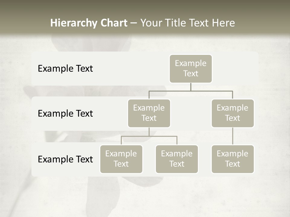 Vintage Old Pink PowerPoint Template