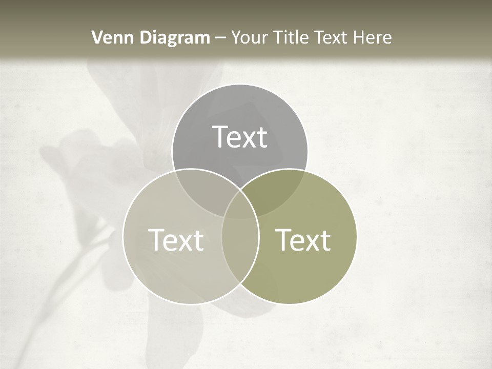 Vintage Old Pink PowerPoint Template