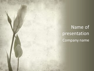 Textured Lisianthus Bloom PowerPoint Template