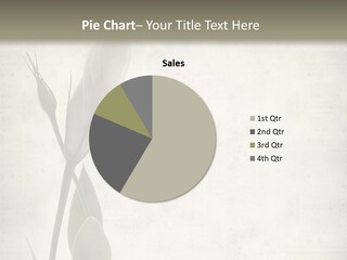 Textured Lisianthus Bloom PowerPoint Template