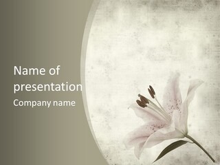 Pale Plant Brown PowerPoint Template