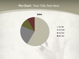 Pale Plant Brown PowerPoint Template