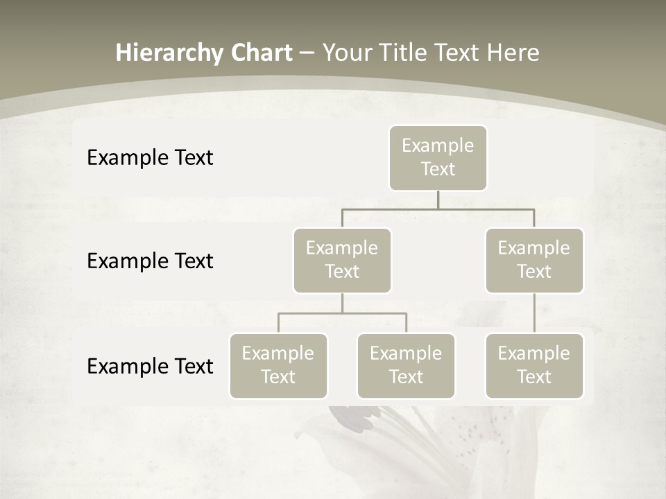 Pale Plant Brown PowerPoint Template