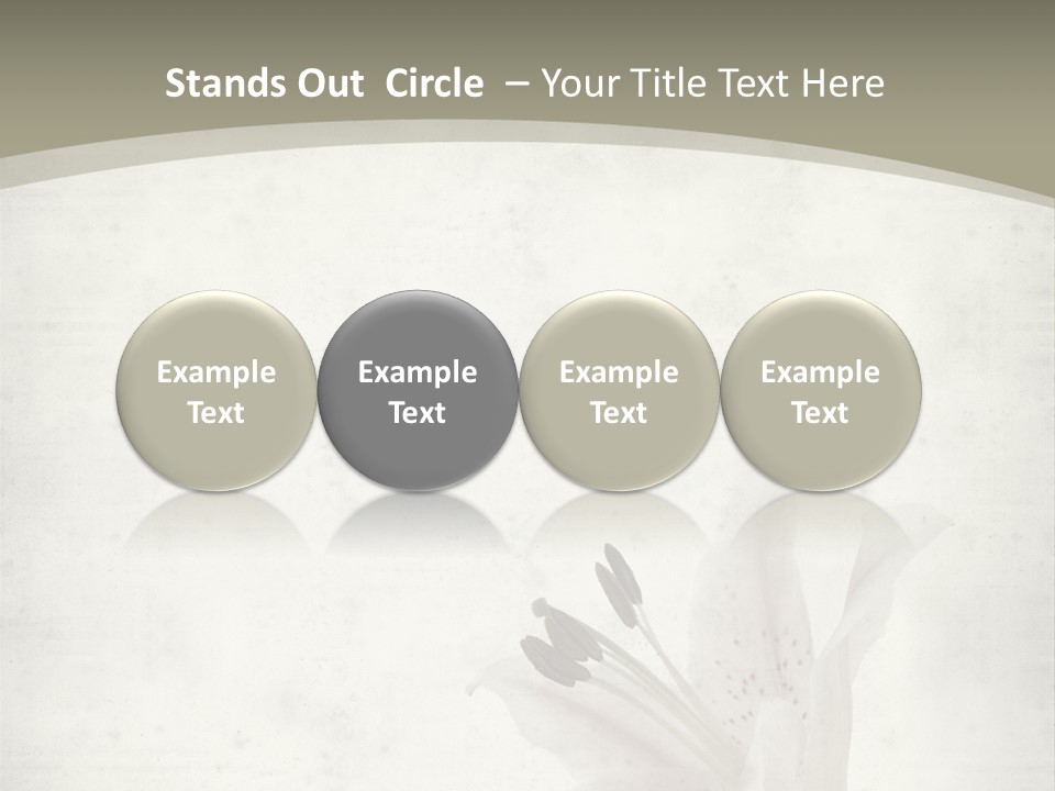 Pale Plant Brown PowerPoint Template