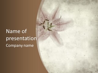 Old Lily Antique PowerPoint Template