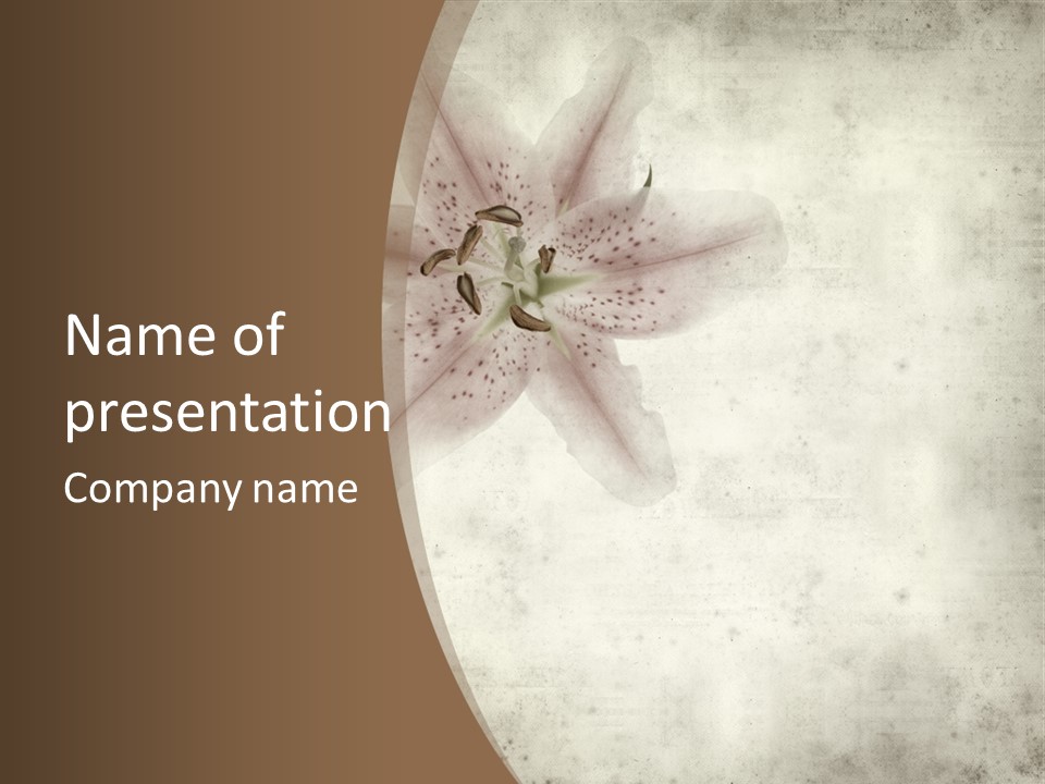 Old Lily Antique PowerPoint Template