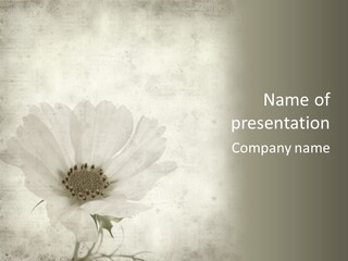 Vintage Damaged Brown PowerPoint Template