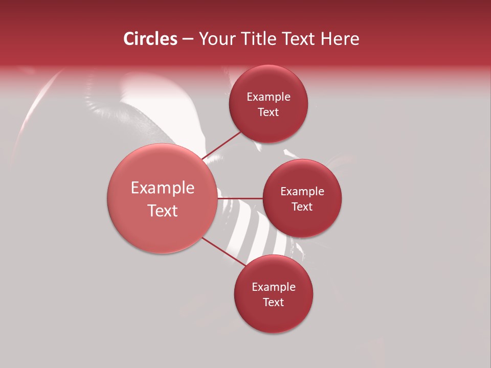 Jeans Young Industrial PowerPoint Template