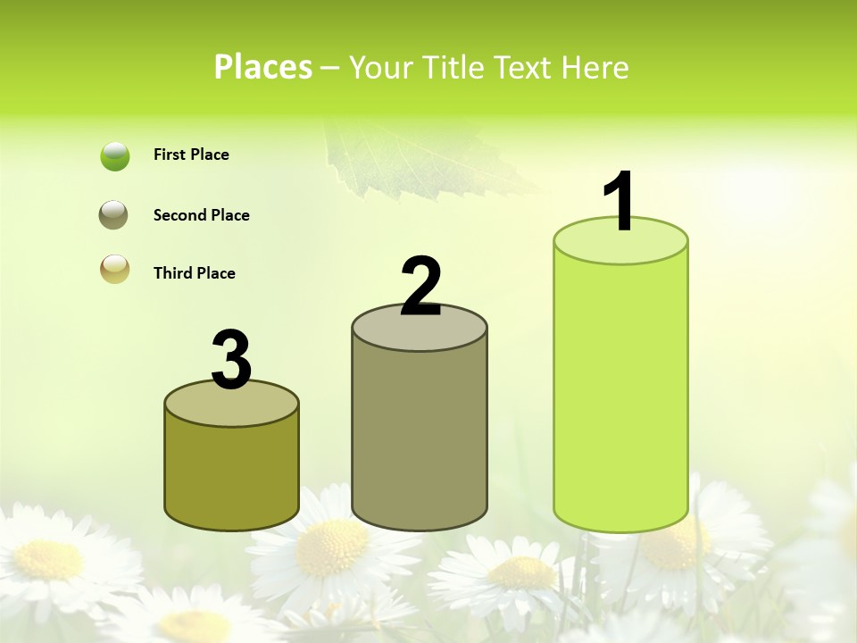 Chamomile Beam Sun PowerPoint Template