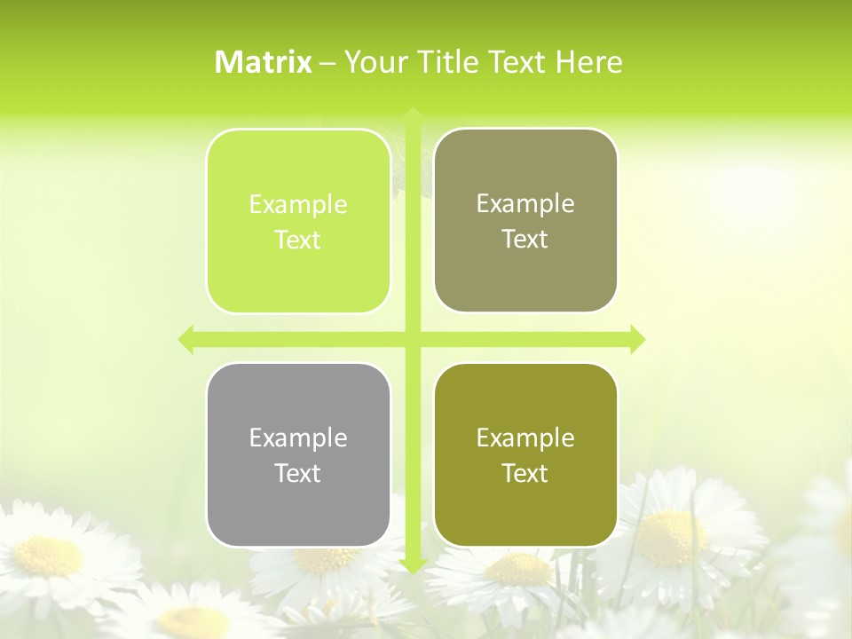 Chamomile Beam Sun PowerPoint Template