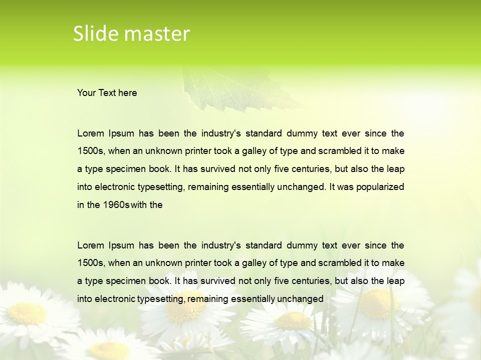 Chamomile Beam Sun PowerPoint Template