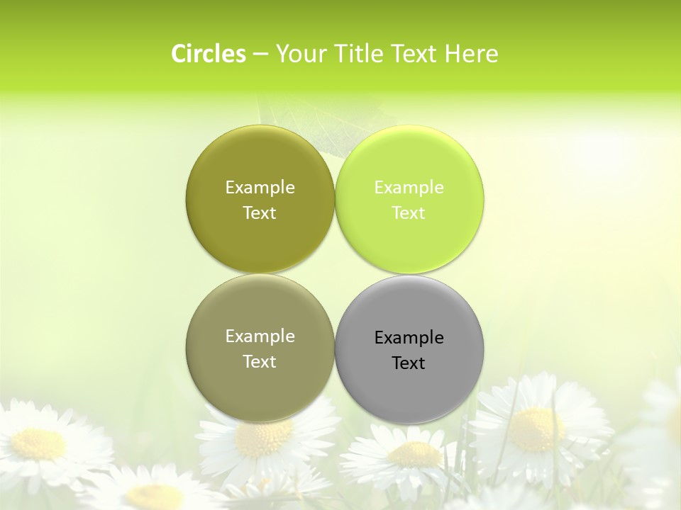 Chamomile Beam Sun PowerPoint Template