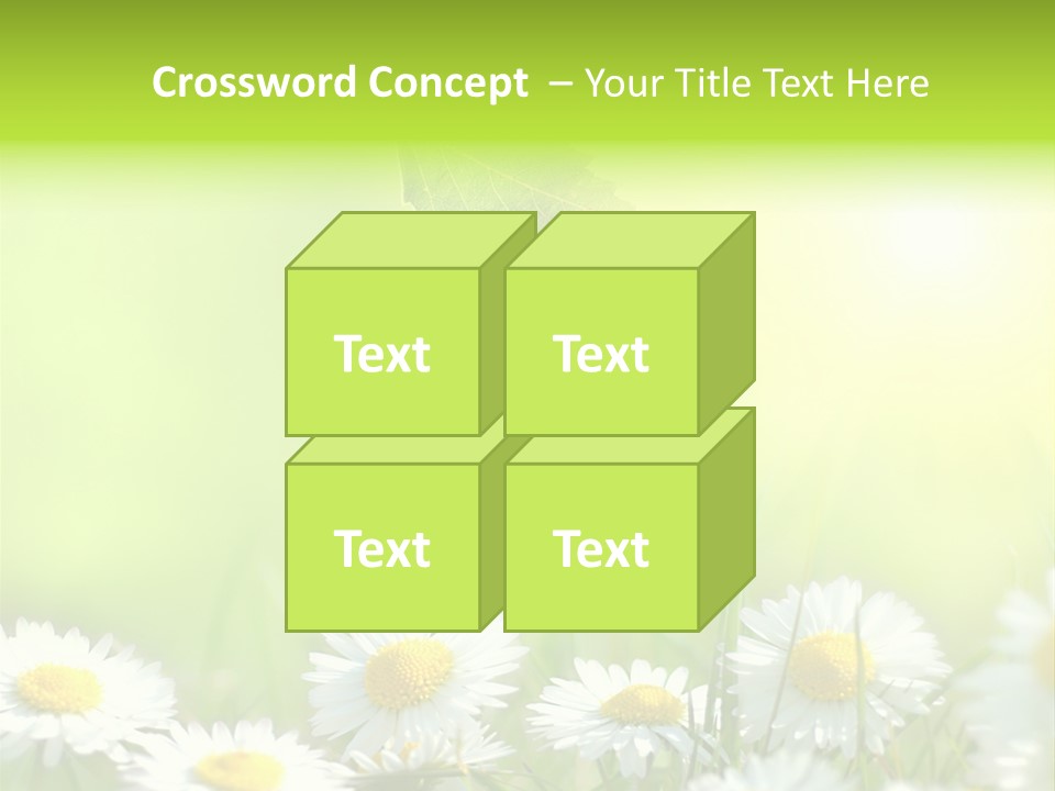 Chamomile Beam Sun PowerPoint Template