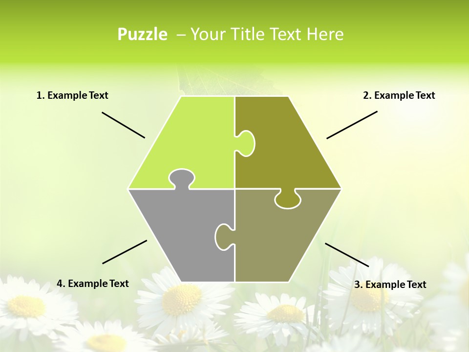 Chamomile Beam Sun PowerPoint Template