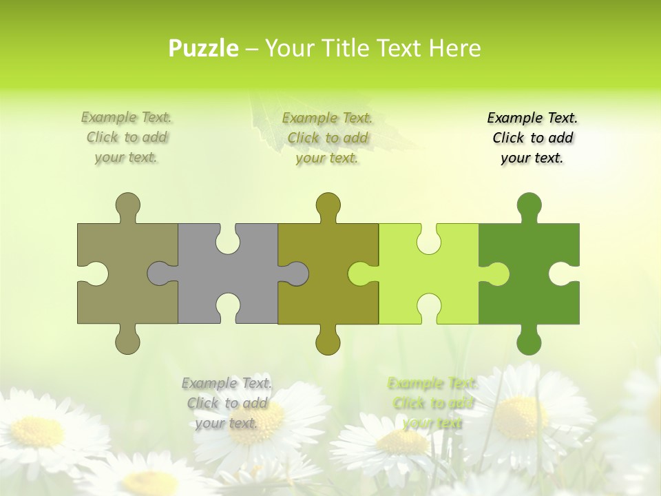 Chamomile Beam Sun PowerPoint Template