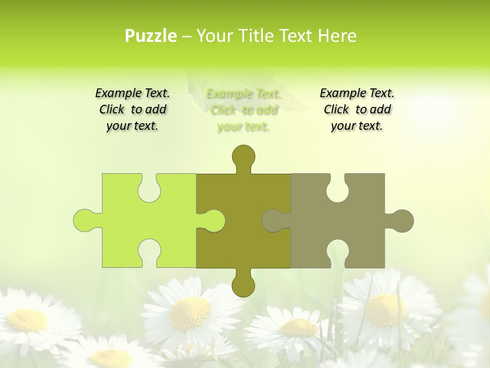 Chamomile Beam Sun PowerPoint Template