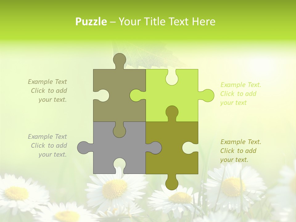 Chamomile Beam Sun PowerPoint Template