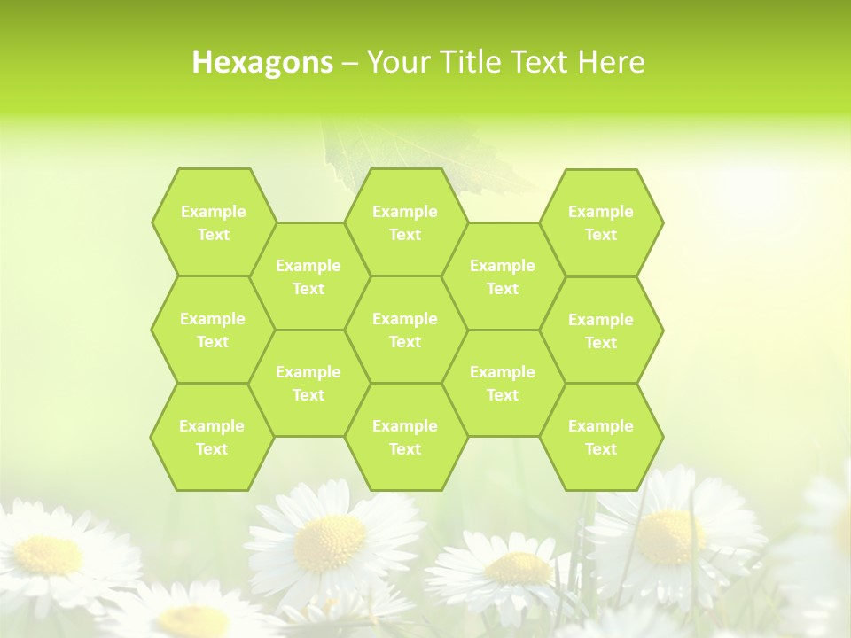 Chamomile Beam Sun PowerPoint Template