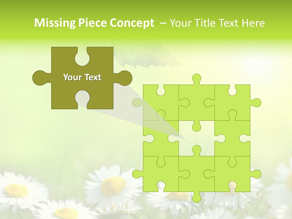 Chamomile Beam Sun PowerPoint Template