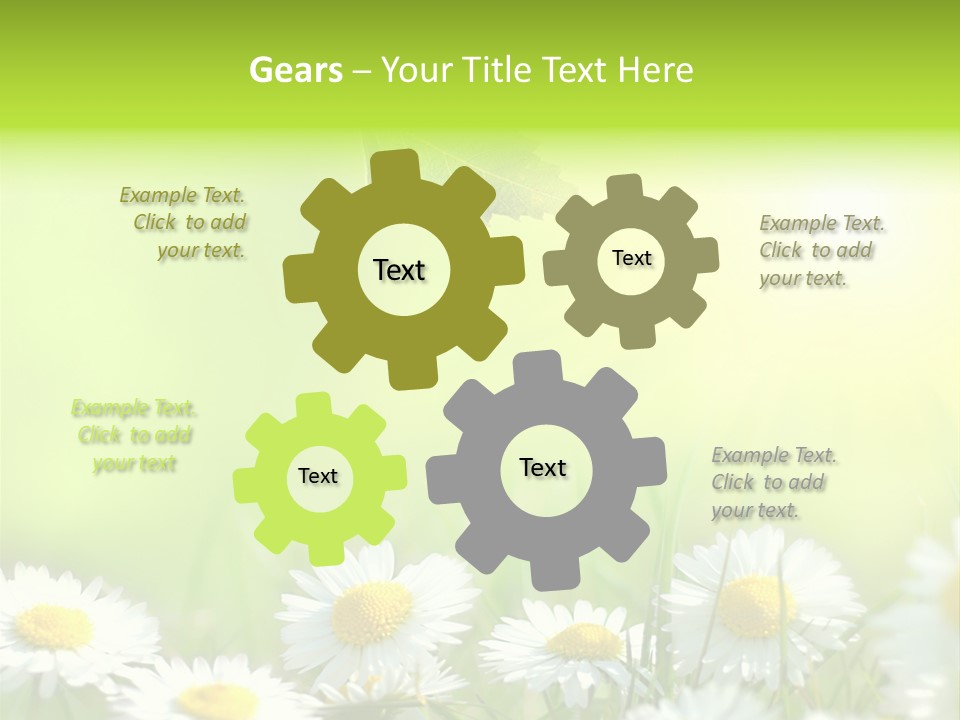 Chamomile Beam Sun PowerPoint Template