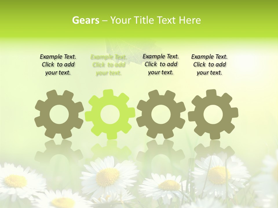 Chamomile Beam Sun PowerPoint Template