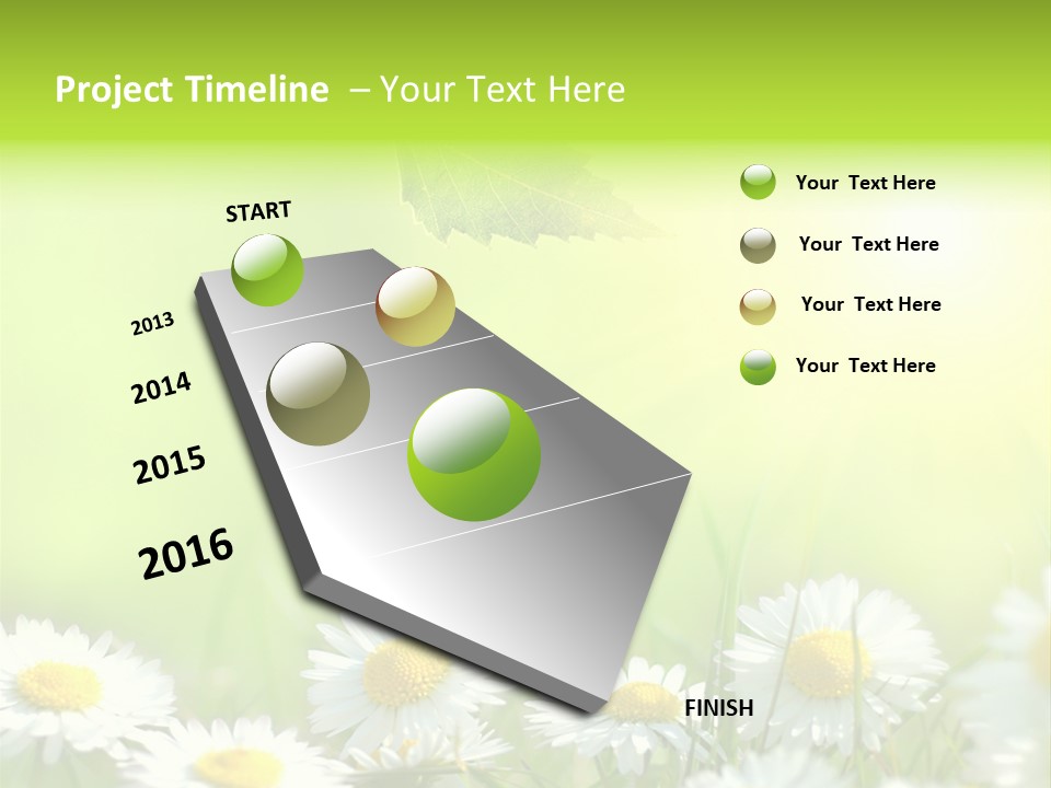 Chamomile Beam Sun PowerPoint Template