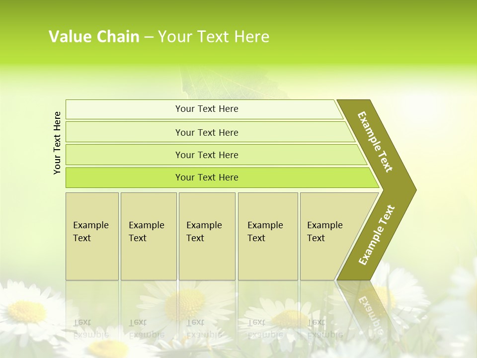 Chamomile Beam Sun PowerPoint Template