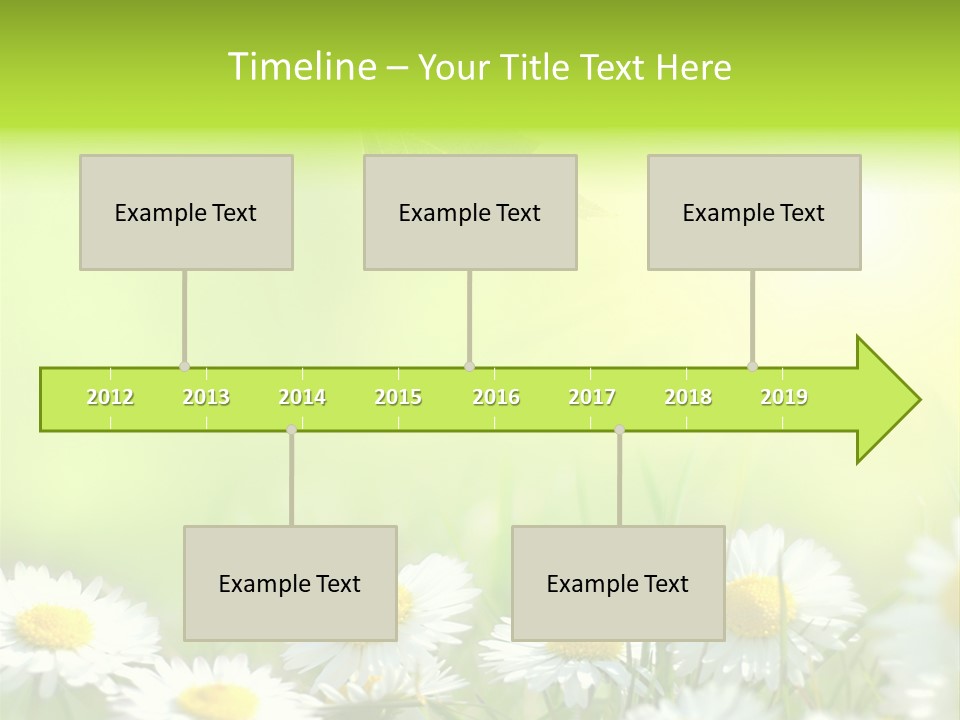 Chamomile Beam Sun PowerPoint Template