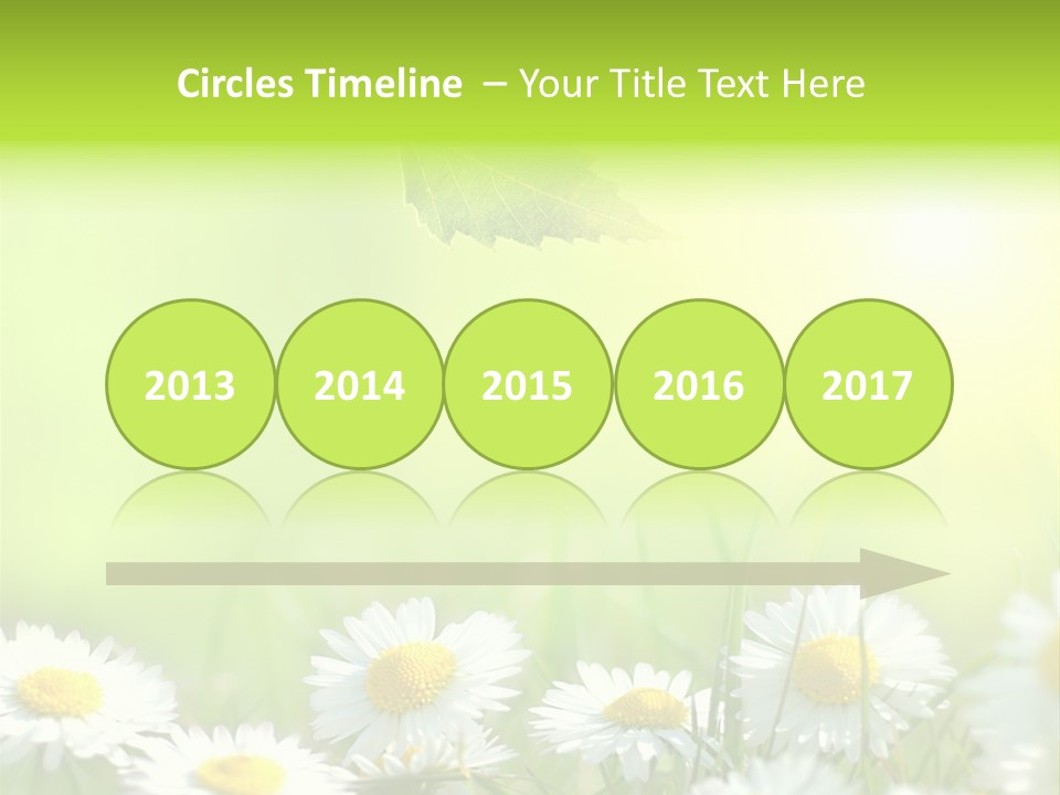 Chamomile Beam Sun PowerPoint Template