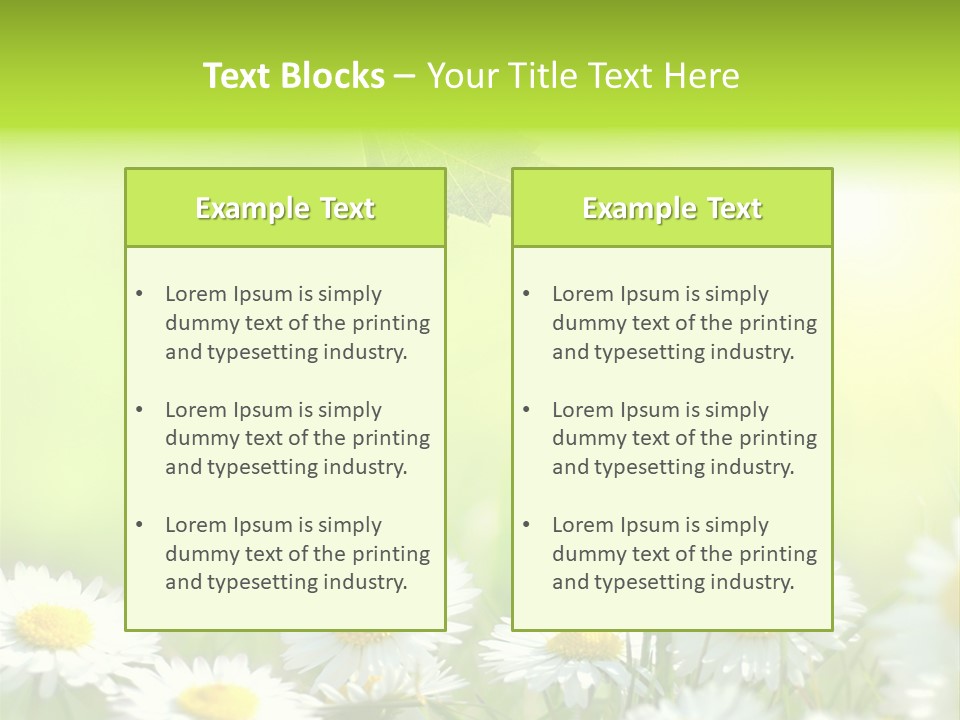 Chamomile Beam Sun PowerPoint Template