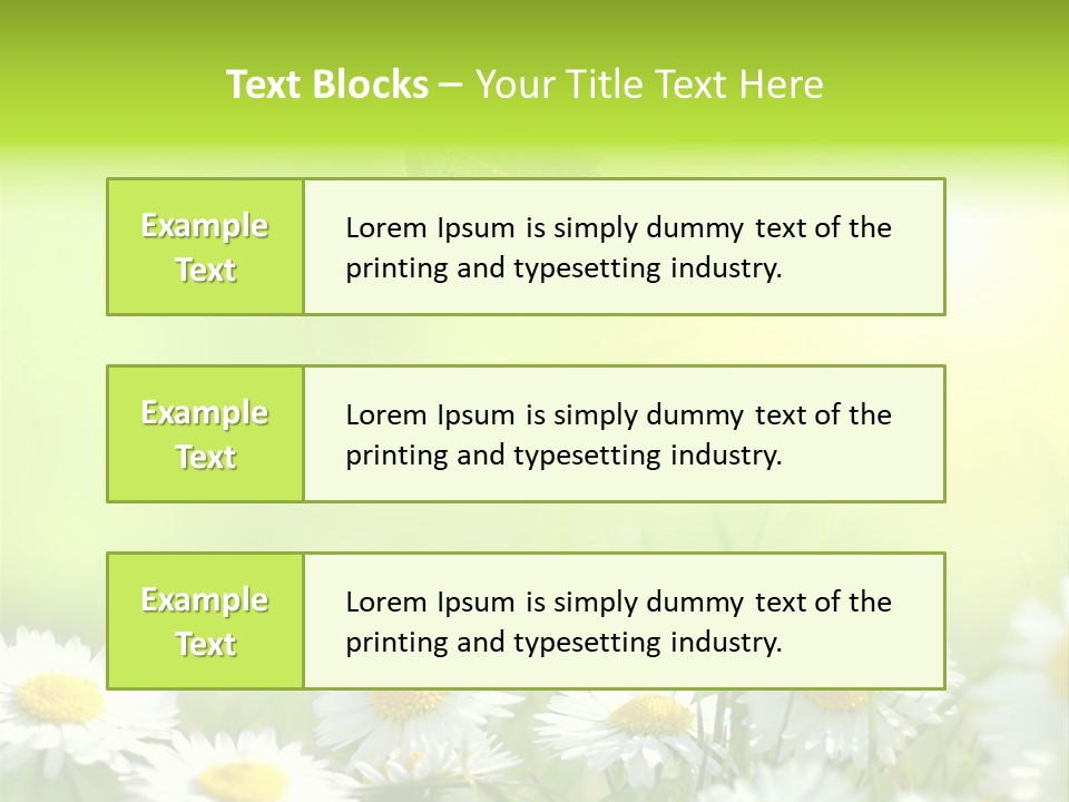 Chamomile Beam Sun PowerPoint Template