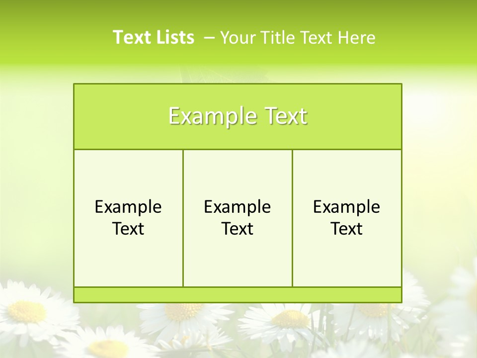 Chamomile Beam Sun PowerPoint Template