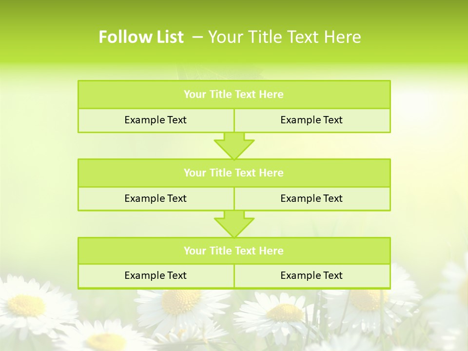 Chamomile Beam Sun PowerPoint Template