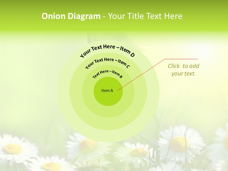 Chamomile Beam Sun PowerPoint Template