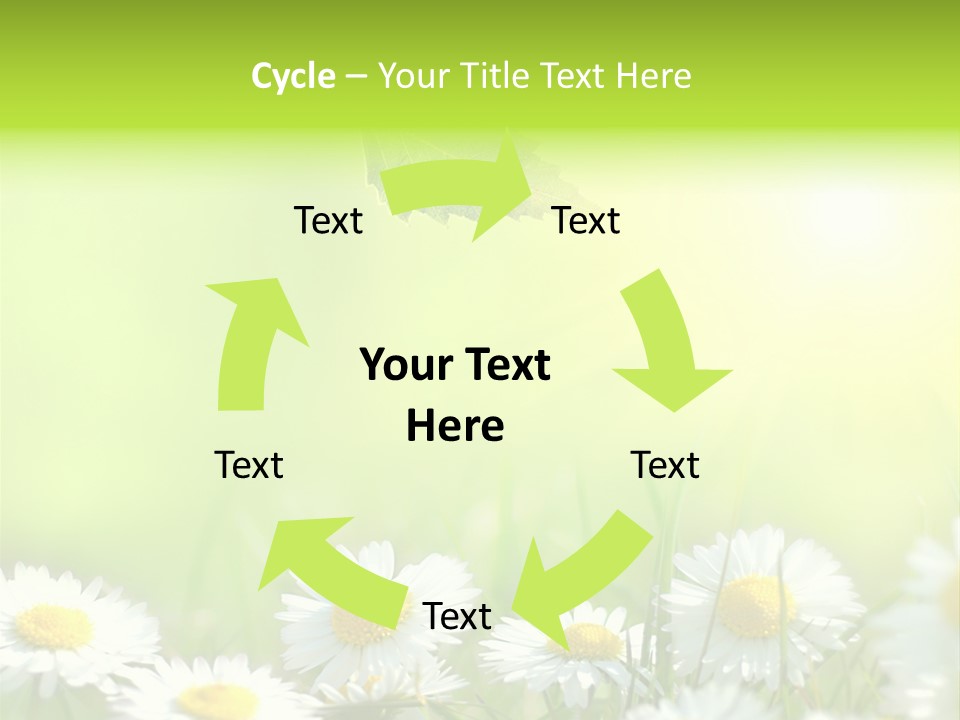 Chamomile Beam Sun PowerPoint Template
