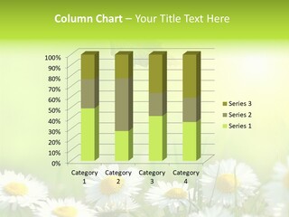 Chamomile Beam Sun PowerPoint Template